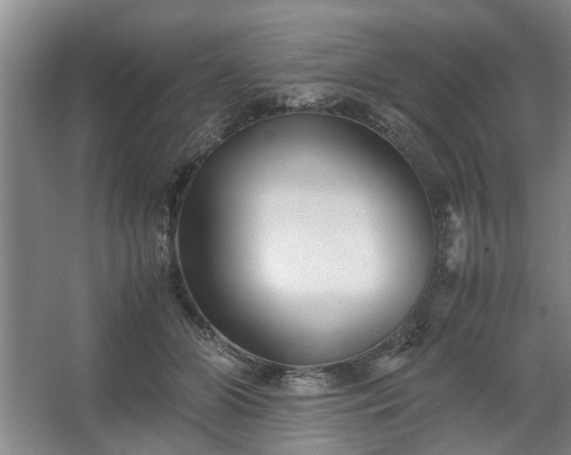 X0000062620510200512281533