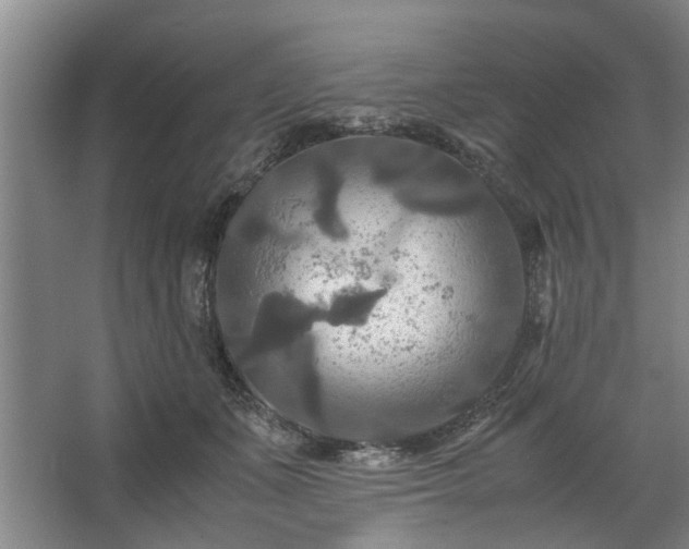 X0000062620511200512281533