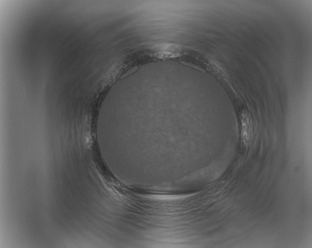 X0000062620512200512281533