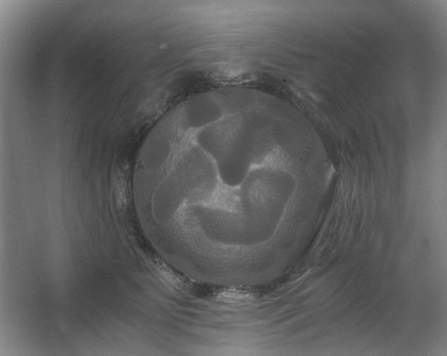 X0000062620515200512281533