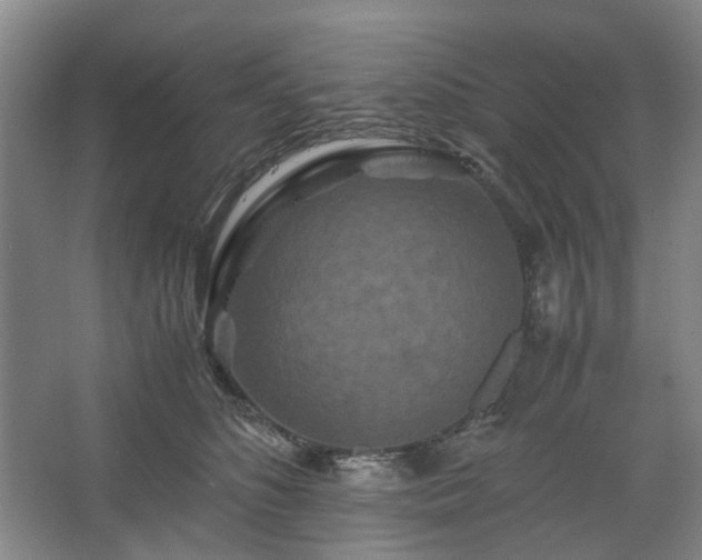 X0000062620516200512281533