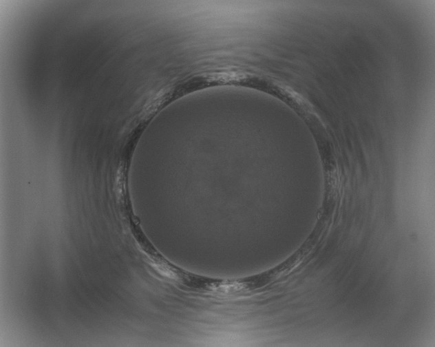 X0000062620517200512281533