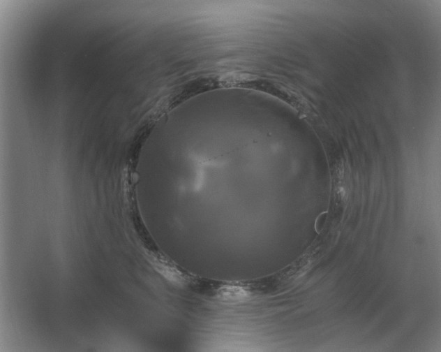 X0000062620519200512281533