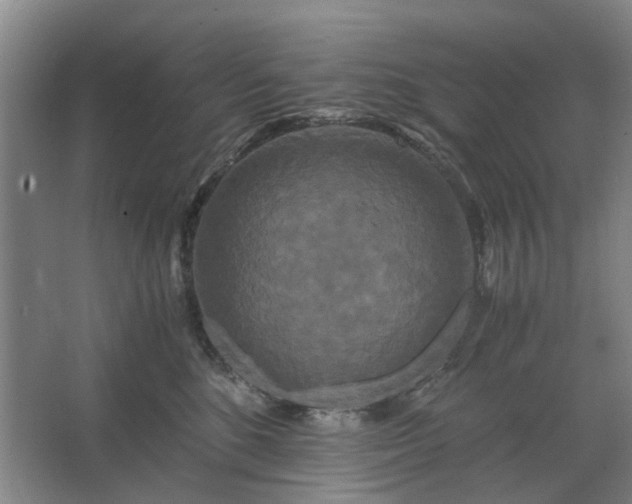 X0000062620520200512281533