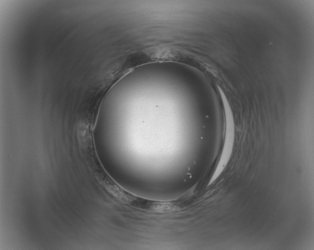 X0000062620521200512281533