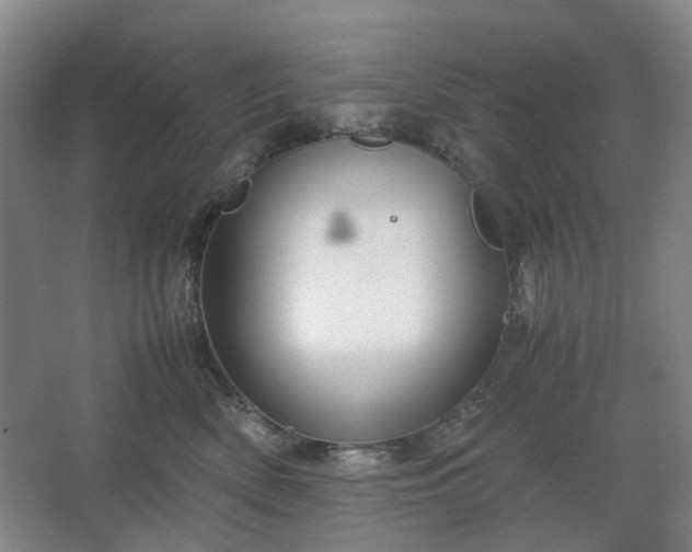 X0000062620522200512281533