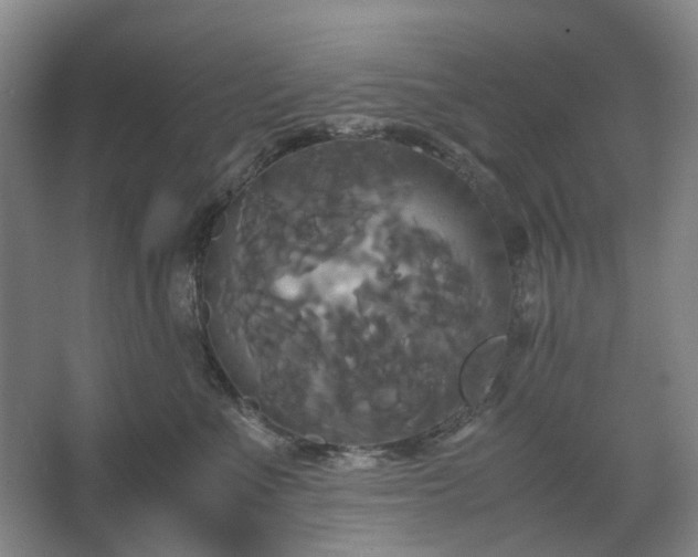 X0000062620523200512281533