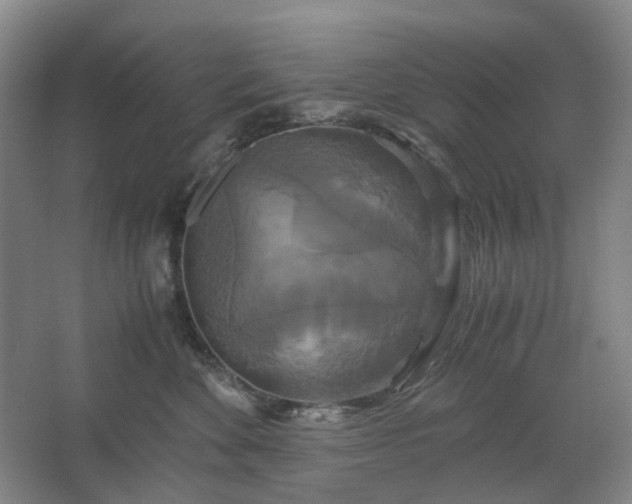 X0000062620524200512281533