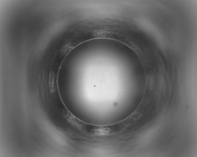 X0000062620525200512281532