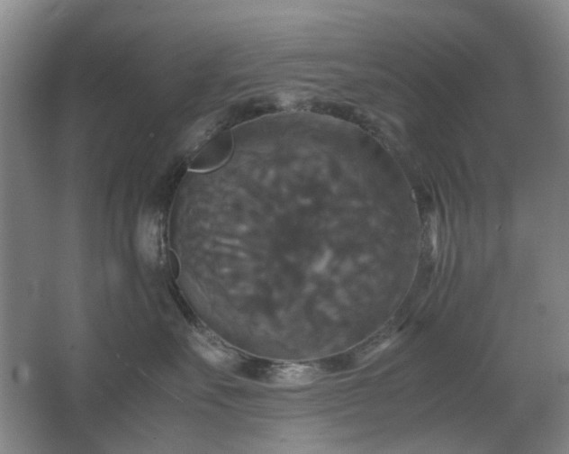 X0000062620527200512281532