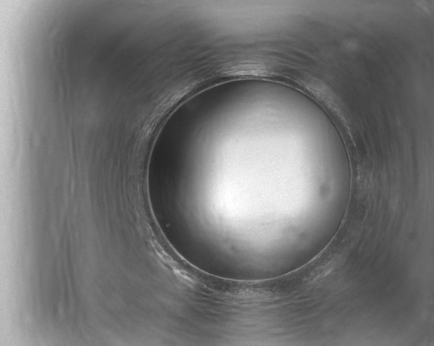 X0000062620529200512281532