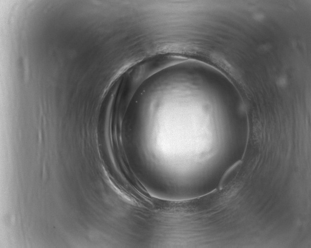 X0000062620530200512281532