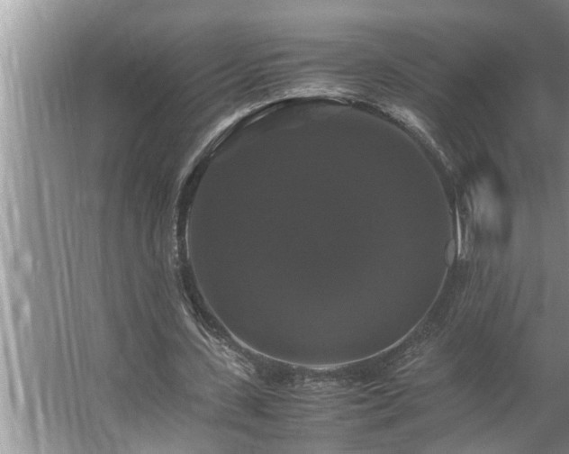 X0000062620531200512281532