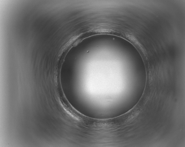 X0000062620533200512281532