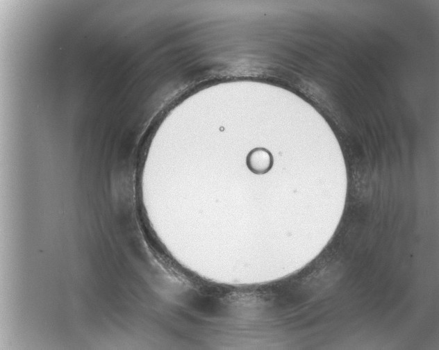 X0000062620534200512281532