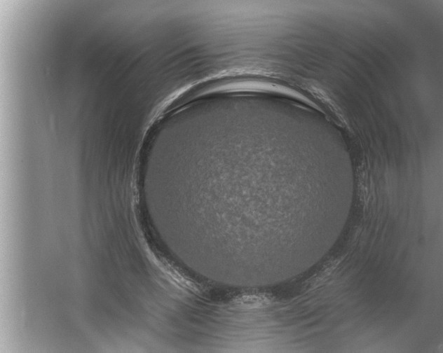 X0000062620536200512281532