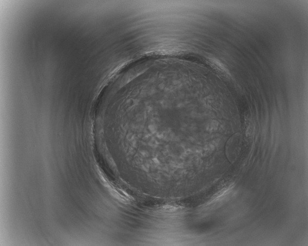 X0000062620542200512281532