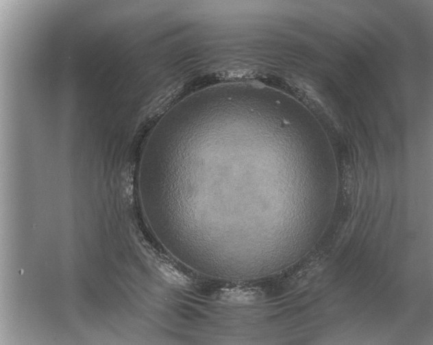 X0000062620545200512281532