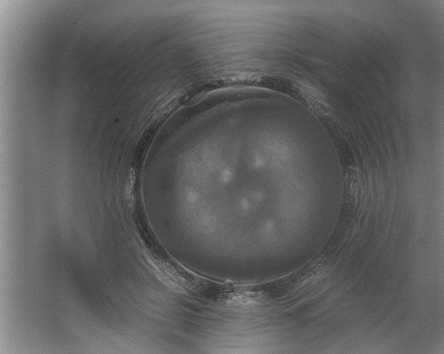 X0000062620550200512281532