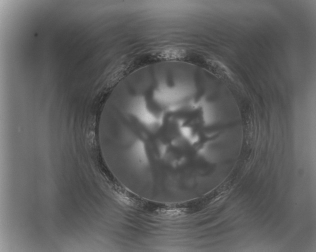 X0000062620553200512281532