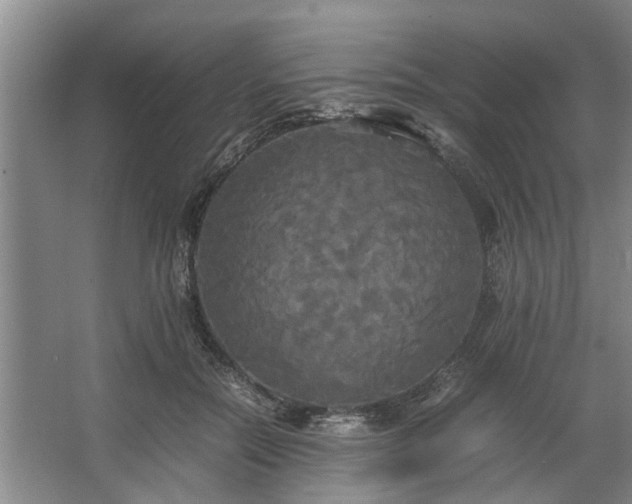 X0000062620554200512281532