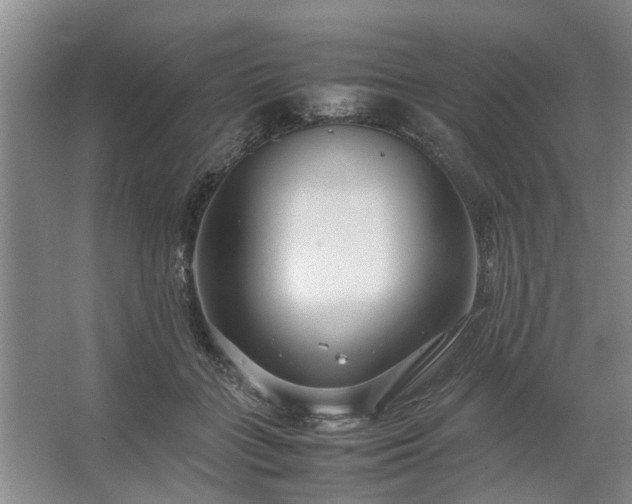 X0000062620555200512281532