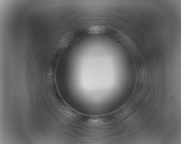 X0000062620557200512281532