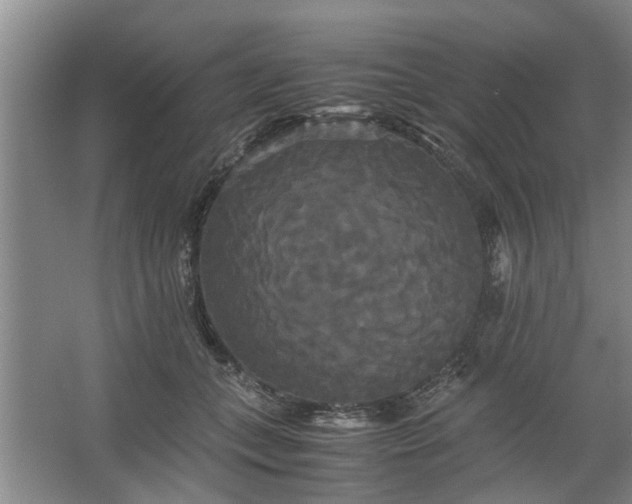 X0000062620559200512281532