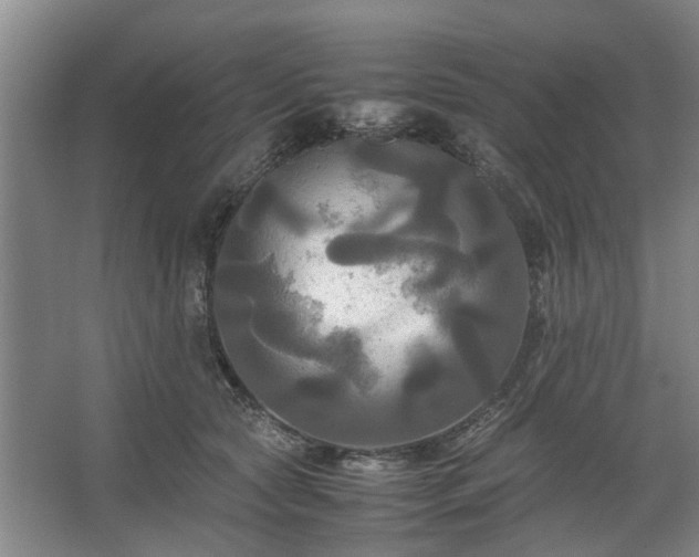 X0000062620561200512281532