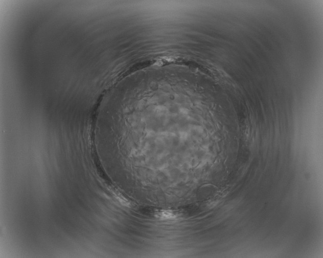 X0000062620565200512281532