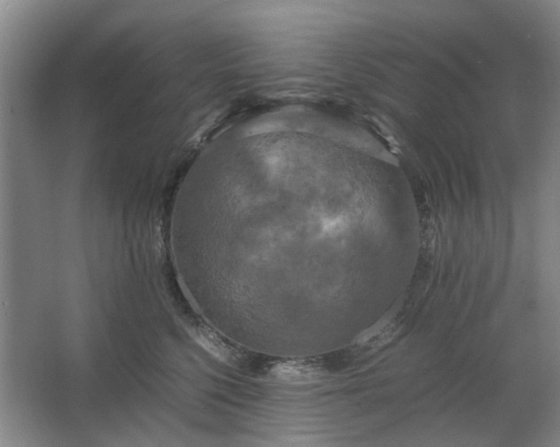 X0000062620568200512281532