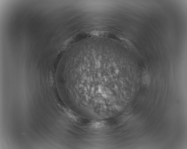 X0000062620569200512281532