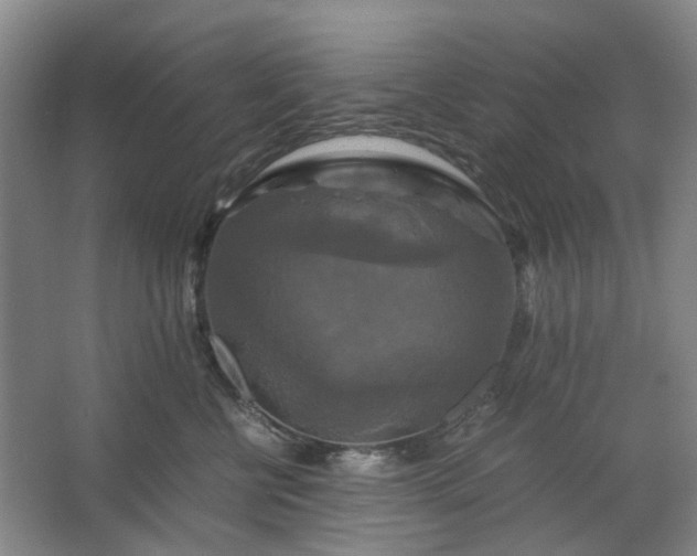 X0000062620570200512281532