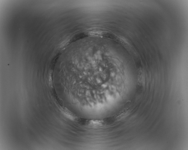 X0000062620573200512281532