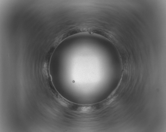 X0000062620575200512281532