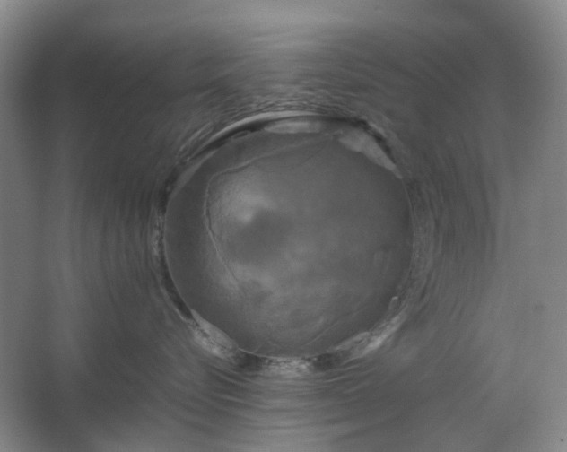 X0000062620576200512281532