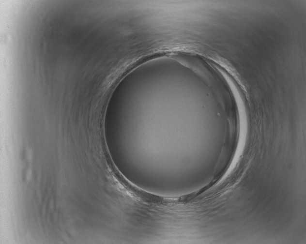 X0000062620577200512281532