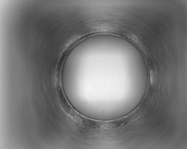 X0000062620579200512281532