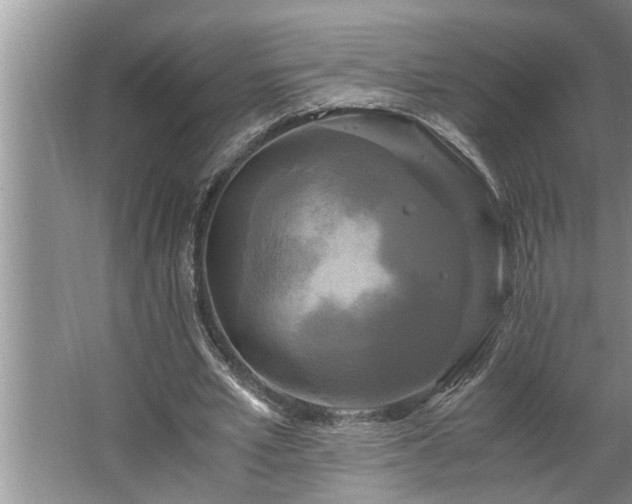 X0000062620581200512281532