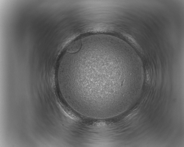 X0000062620588200512281531