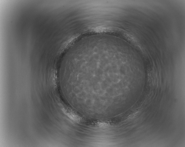 X0000062620592200512281531