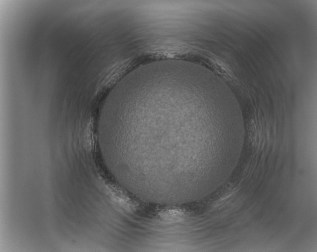 X0000062620594200512281531