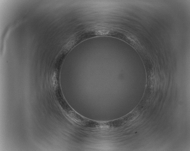 X0000062620598200512281531