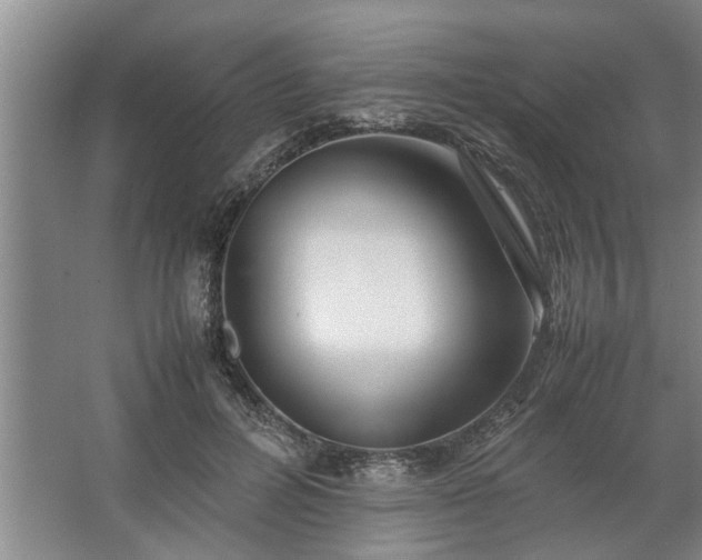 X0000062620600200512281531