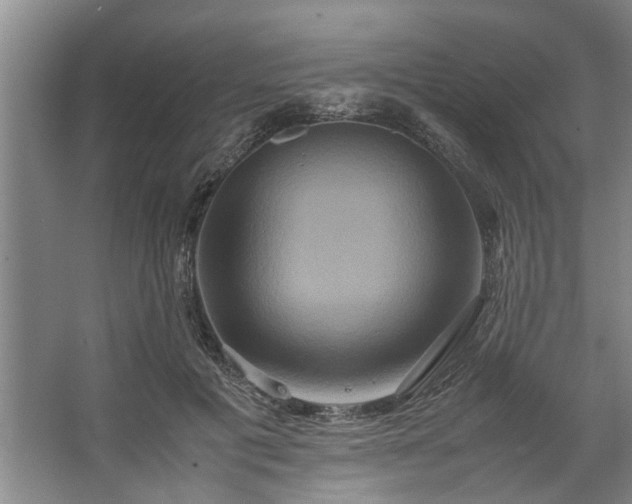 X0000062620601200512281531