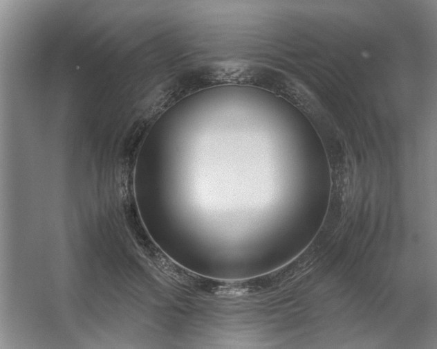 X0000062620602200512281531