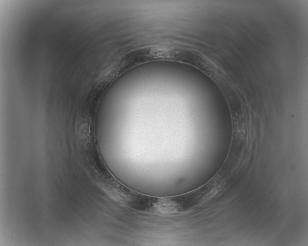 X0000062620603200512281531