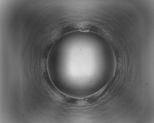 X0000062620605200512281531