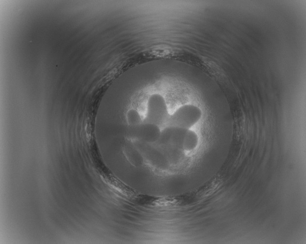 X0000062620606200512281531