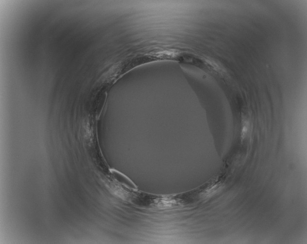 X0000062620607200512281531